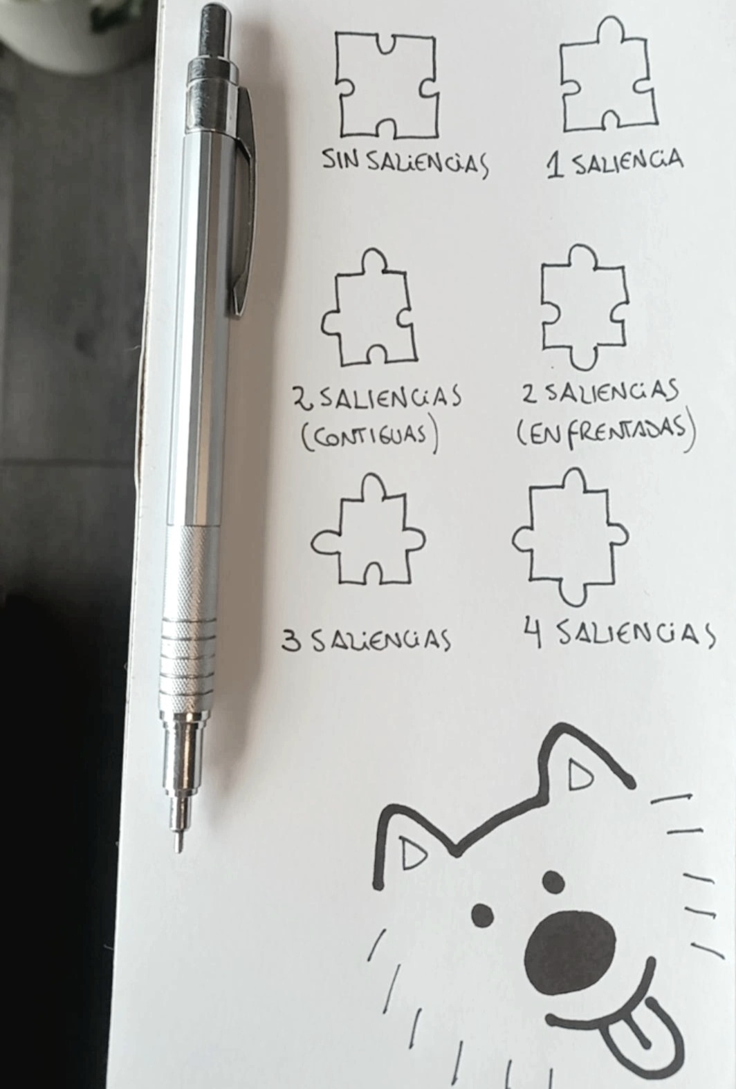 Saliencias